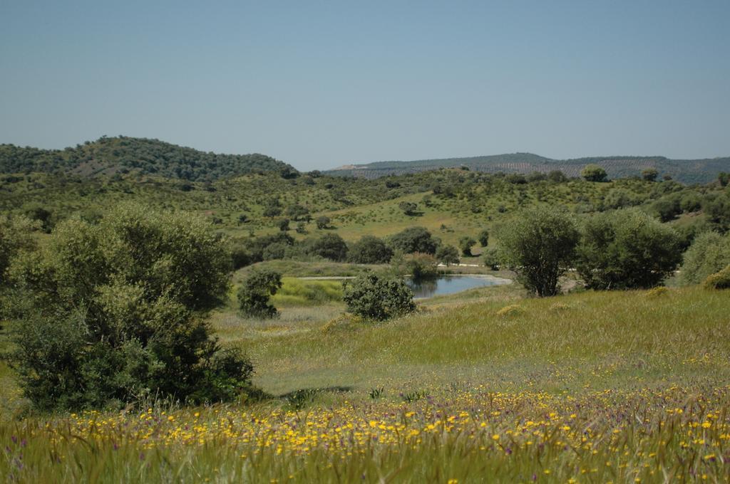 Хостел Albergue Rural De Fuente Agria Вильяфранка-де-Кордова Экстерьер фото